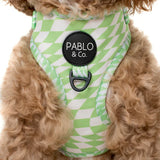 Lime Check Check: Adjustable Dog Harness