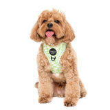 Lime Check Check: Adjustable Dog Harness